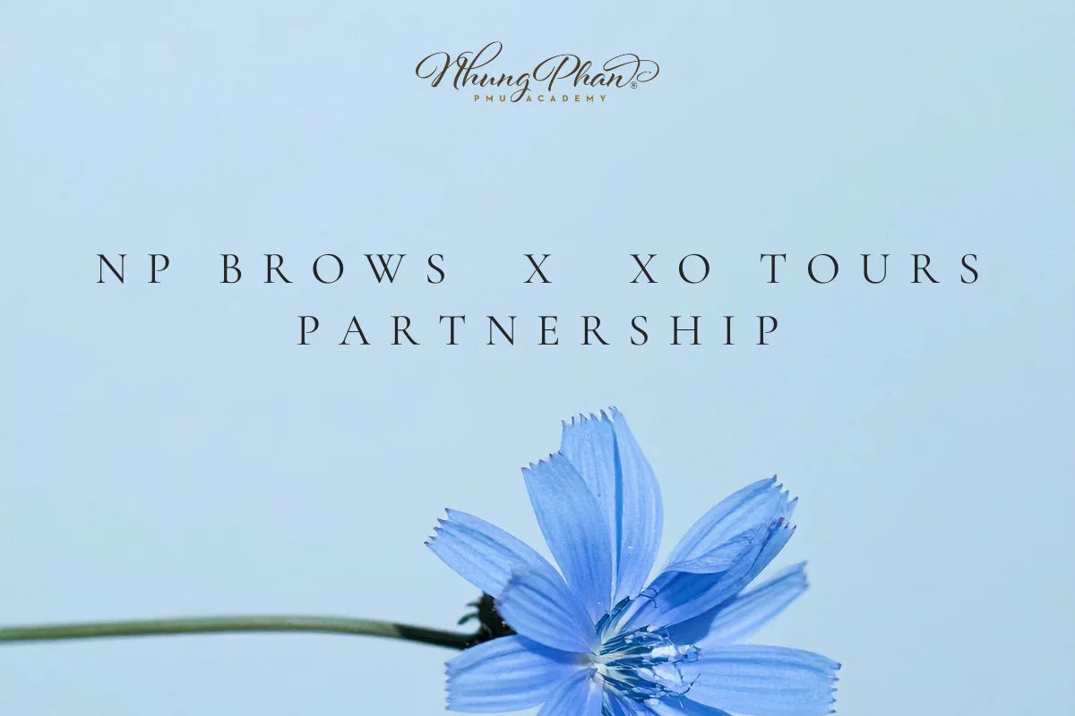 NP Brows & Lashes x XO Tours Partnership