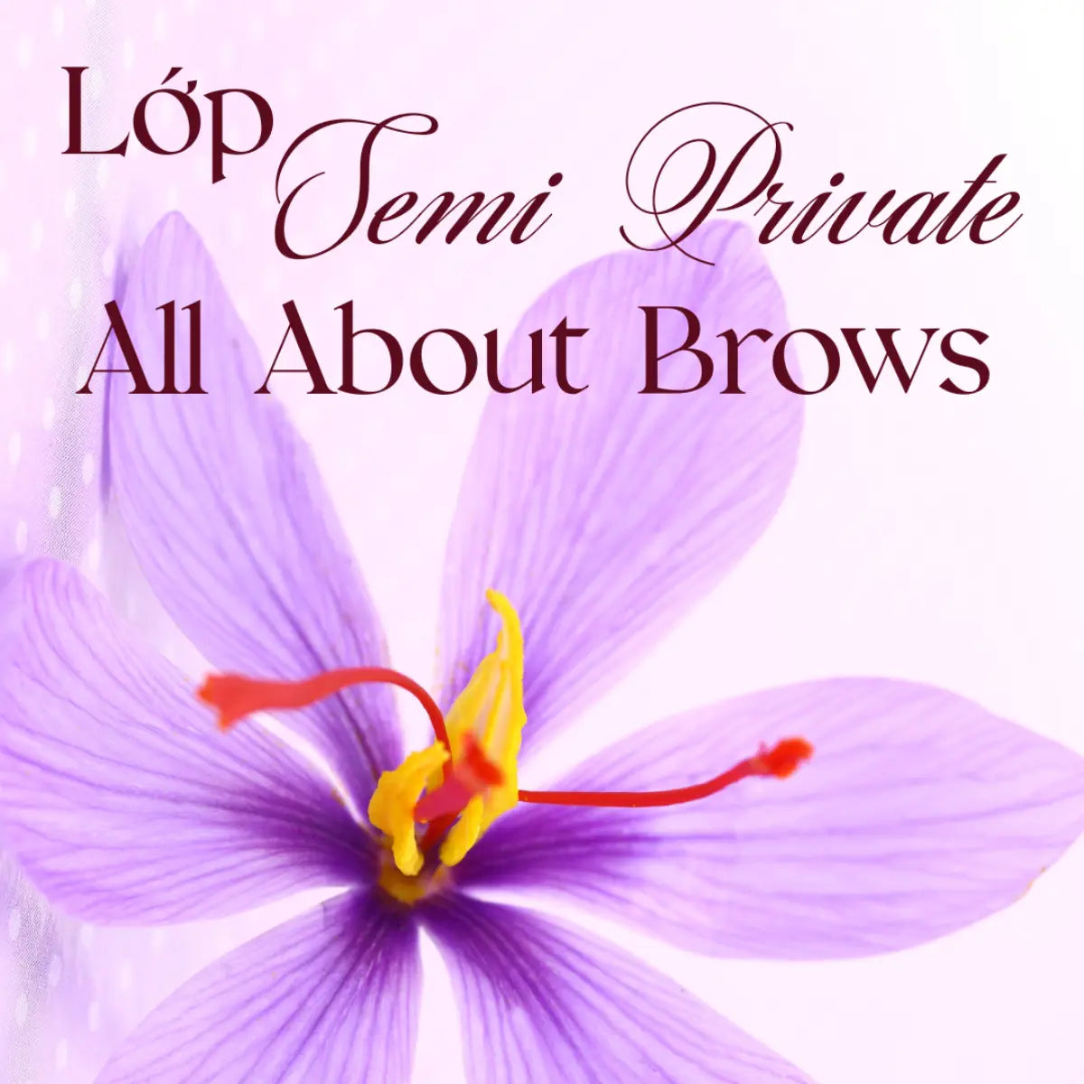 Semi-Private All About Brows Training